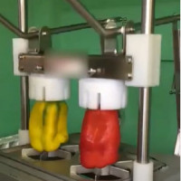 UTILAJ TAIAT LEGUME SI FRUCTE