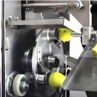Masina pentru taiat merele in rondele si scos cotorul
