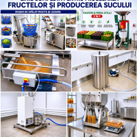Linie suc natural fructe si legume– utilaje procesare mere pere catina morcovi sfecla
