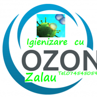 Igienizare autoturisme Zalau