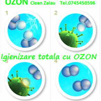 Igienizare autoturisme Zalau