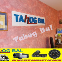 Verificari tahografe ZALAU