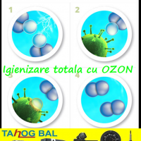 Igienizare autoturisme Zalau