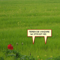 Teren, Timisoara, Brancoveanu – Fratelia,1007mp, fs=18,5
