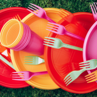 Farfurii si caserole meniu de unica folosinta