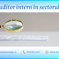 Curs online autorizat Auditor intern in sectorul public