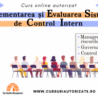 Curs Implementarea si Evaluarea Sistemului de Control Intern