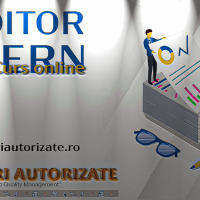Curs online Auditor Intern