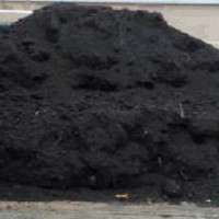 Pamant vegetal, pamant de padure negru Bucuresti si Ilfov