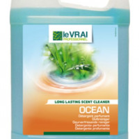 Detergent ecologic pentru pardoseli 5L | Ocean | Action Pin
