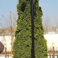 Lampadar iluminat