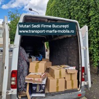 mutari bucuresti | relocari sedii firme
