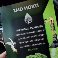 Amenajari spatii verzi , curti