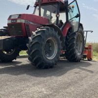 curatare / defrisare terenuri