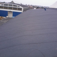 S.C ALAMARIU SPEDITION S,R.L