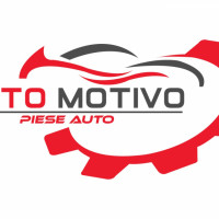 SC AUTO MOTIVO PARTS INTERNATIONAL SRL