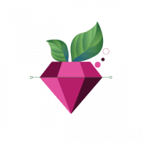 S.C. BERRYSOFT SOLUTIONS.SRL