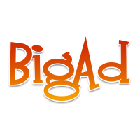 SC BIGAD SRL