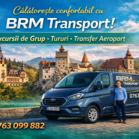 BRM TRANSPORT SERVICES SRL