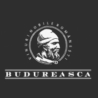 SC BUDUREASCA SRL