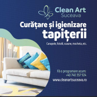 SC CLEAN ART TEAM