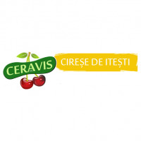 SC CERAVIS SRL