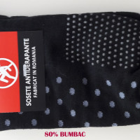 CIOBOTARU V. VASILE PFA