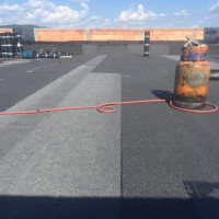 CIRTINA OVIDIU MIHAI P.F.A.