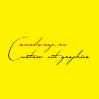 CIUCARDEL VASILE-COSTINEL PFA