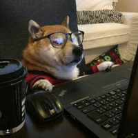 CSC HEGEMON SOFTLINE GROUP