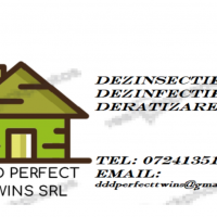 SC DDD PERFECT TWINS SRL