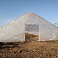 PFA DRAGOMIR N. IULIAN