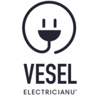 ELECTRICIANU VESEL SRL