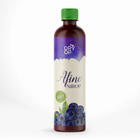 SC EUROPLANT INTERNATIONAL SRL