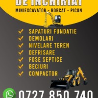 EXCAVATOR JCB IONUT