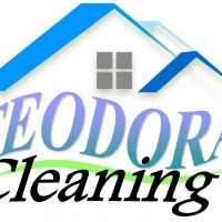 SC FEODORA BUSINESS COMPANY GROUP SRL