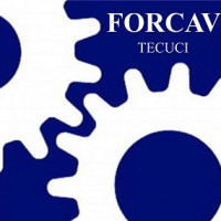FORCAV SRL