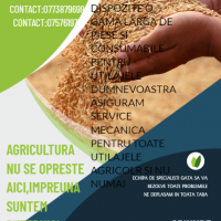 FOREST LAND INDUSTRY S.R.L.