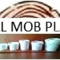 SC FULL MOB PLAST SRL