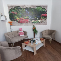 CABINET INDIVIDUAL DE PSIHOLOGIE SILAGHI MARIA-PETRUţA