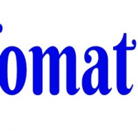 INFOMAT SERVICE SRL