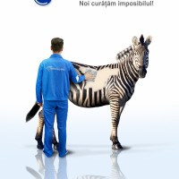 SC INTER CLEANING RO-GER SRL