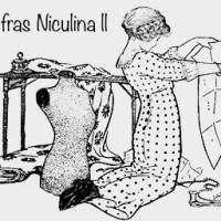 INTREPRINDERE INDIVIDUALA ONOFRAS NICULINA