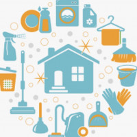 SC IONESIM IDEAL CLEAN SRL