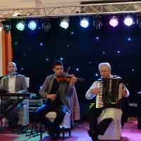 SC MARIUS MUSIC ART SRL-D