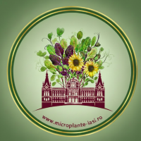 MICROPLANTE IASI