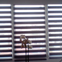 SC MIGSCOR DESIGN SRL