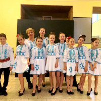 MOD TRADITIONAL ART SRL