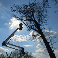 P.F.A POPA MARIN. IULIAN