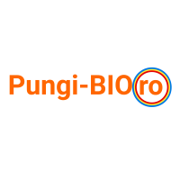 PRO STRATEGY GROUP SRL